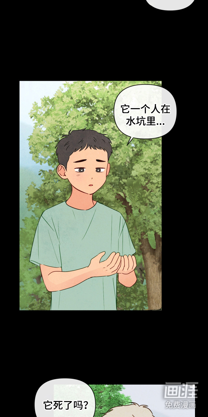 与神相拥第1话图