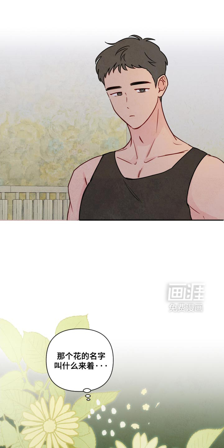 与神相拥第13话图