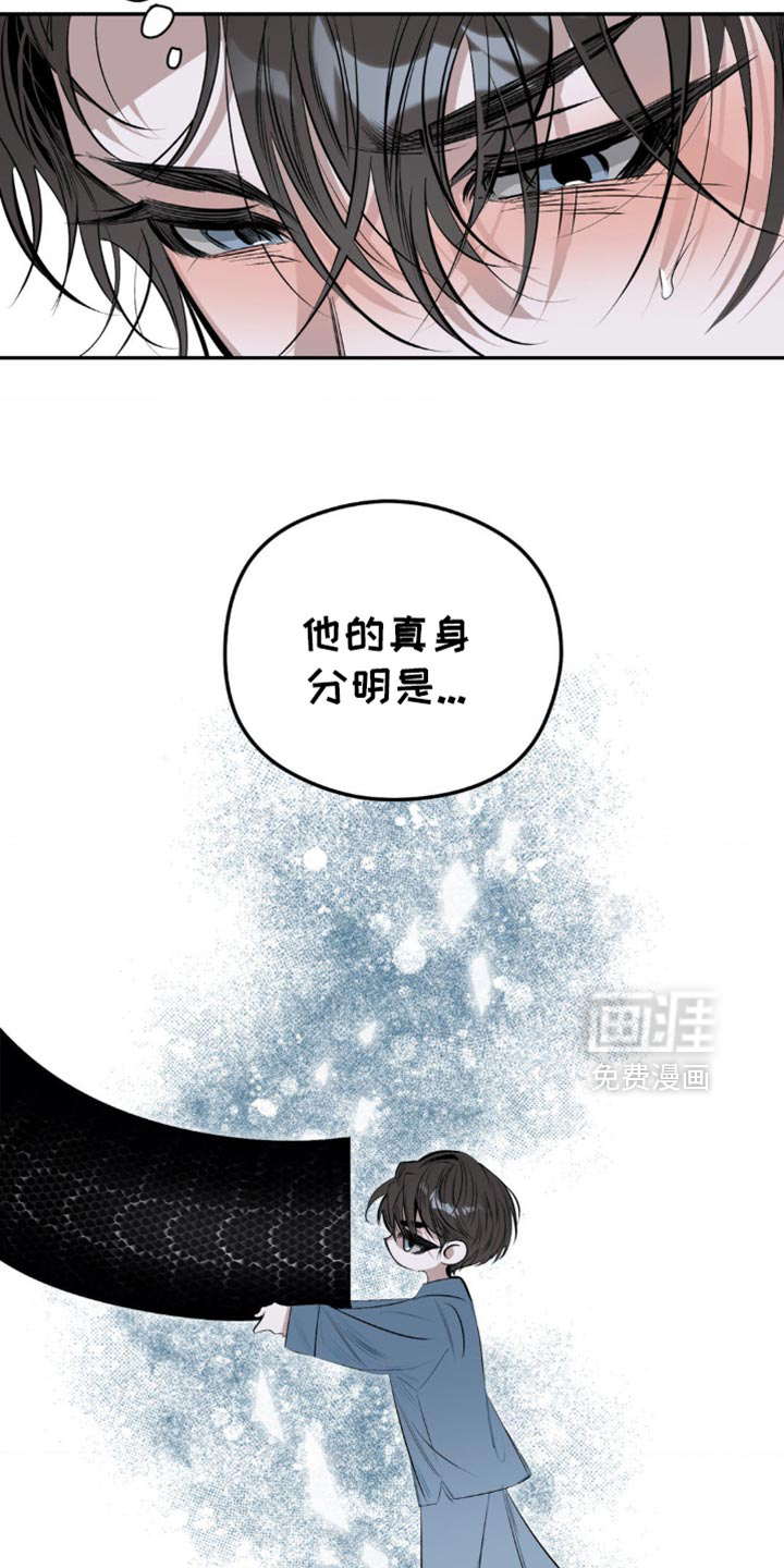 月光蟒影第12话图