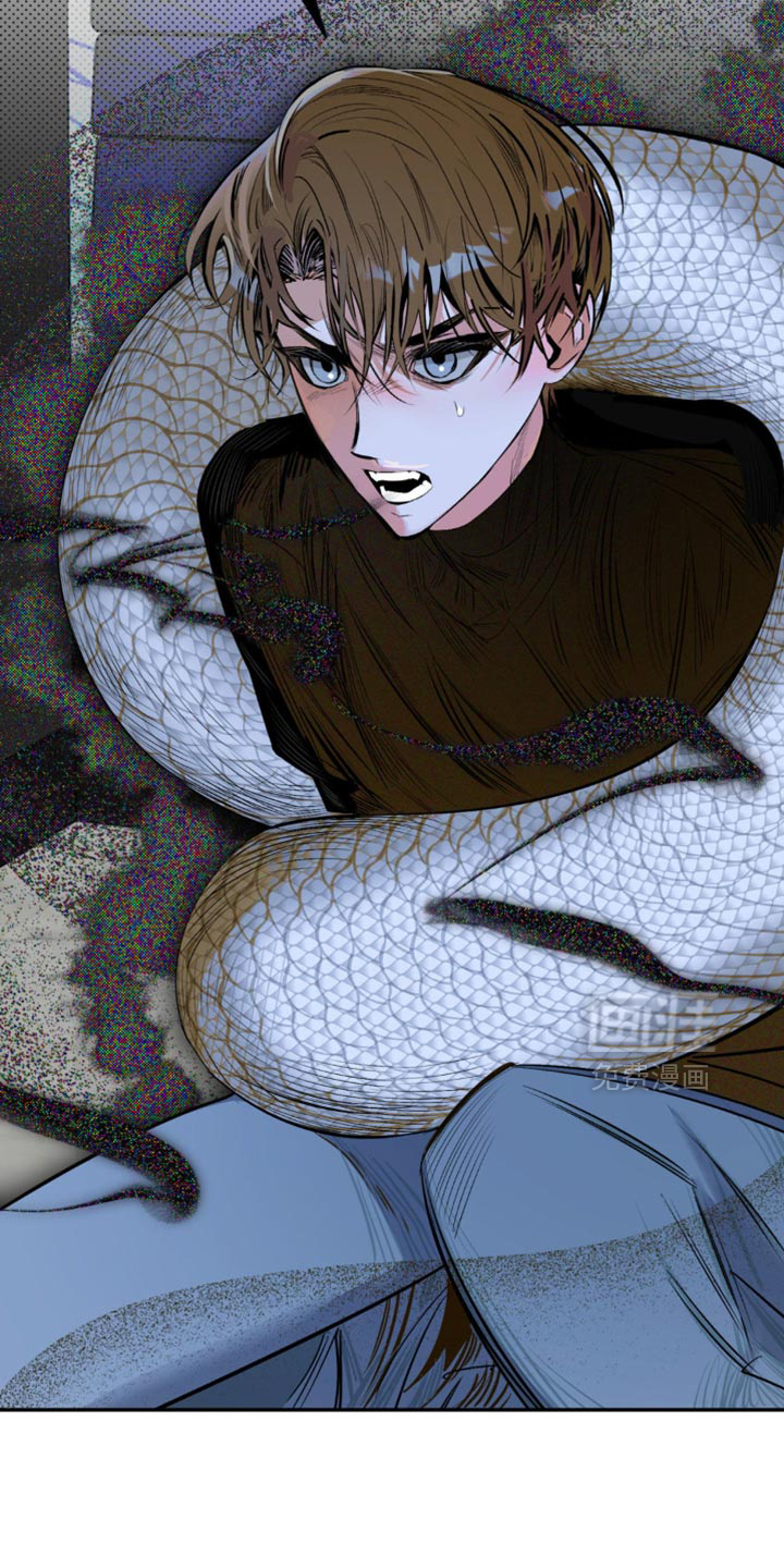 月光蟒影第12话图