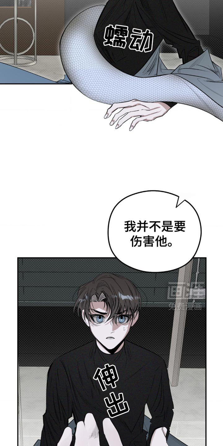 月光蟒影第12话图