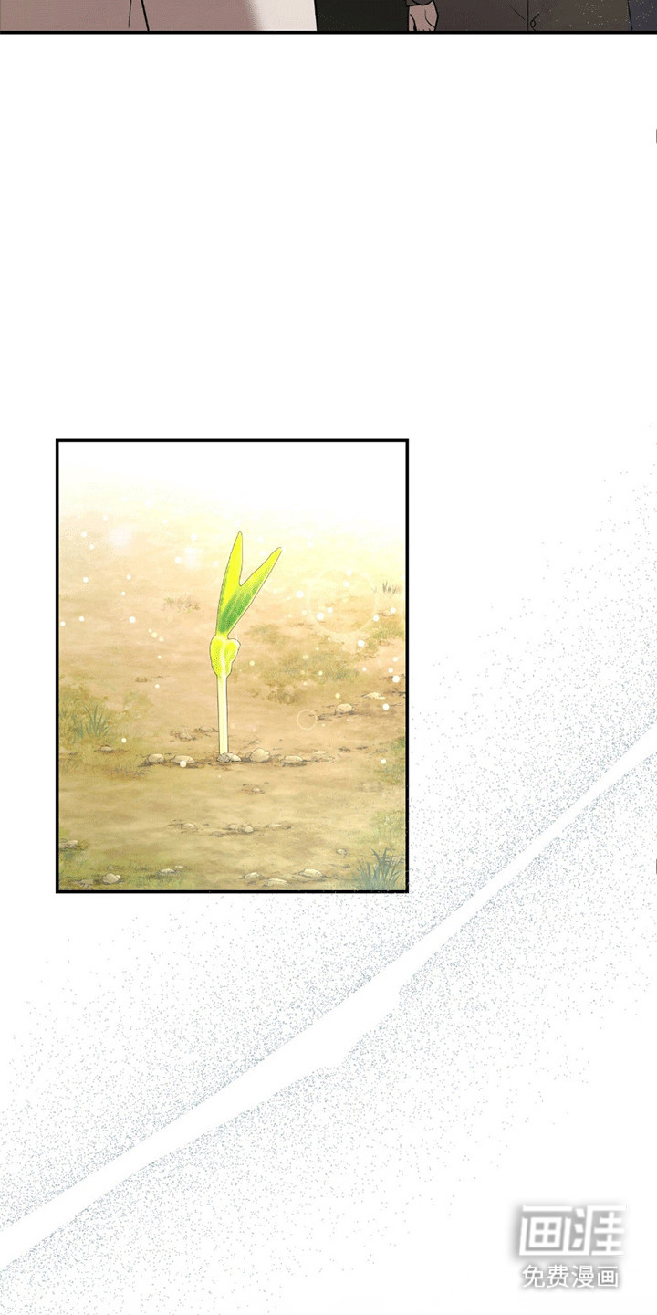 阴谋债务第29话图