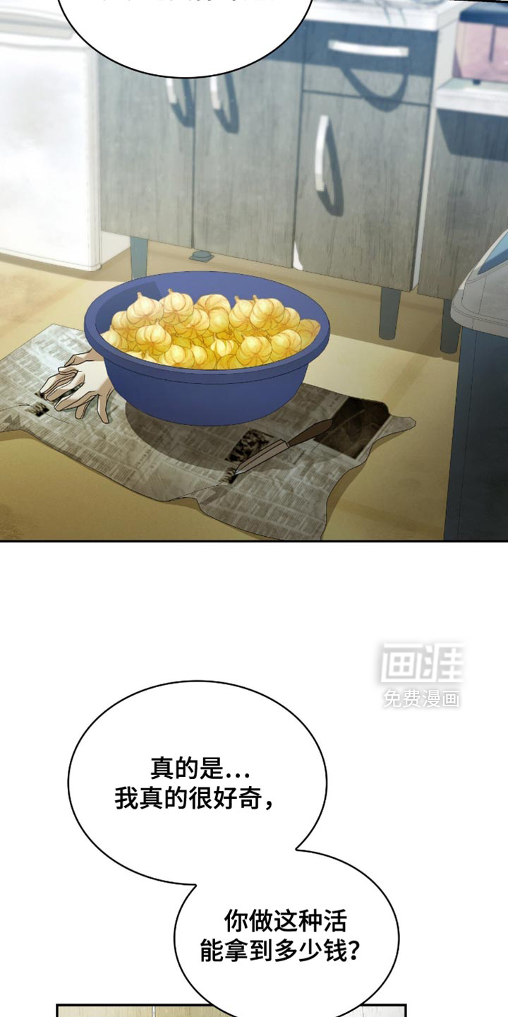 阴谋债务第31话图