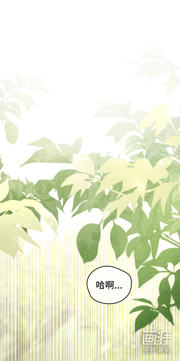 影岛留情第13话图