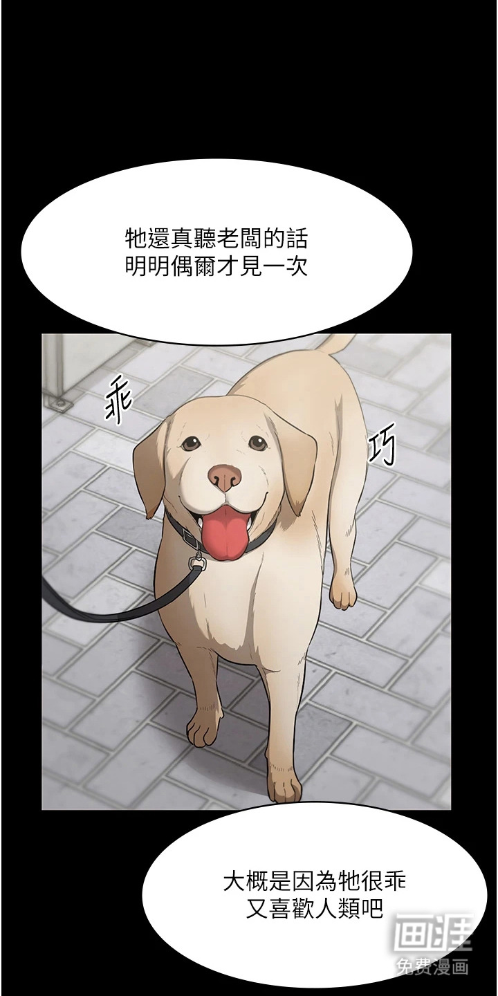 隐秘讯息第19话图