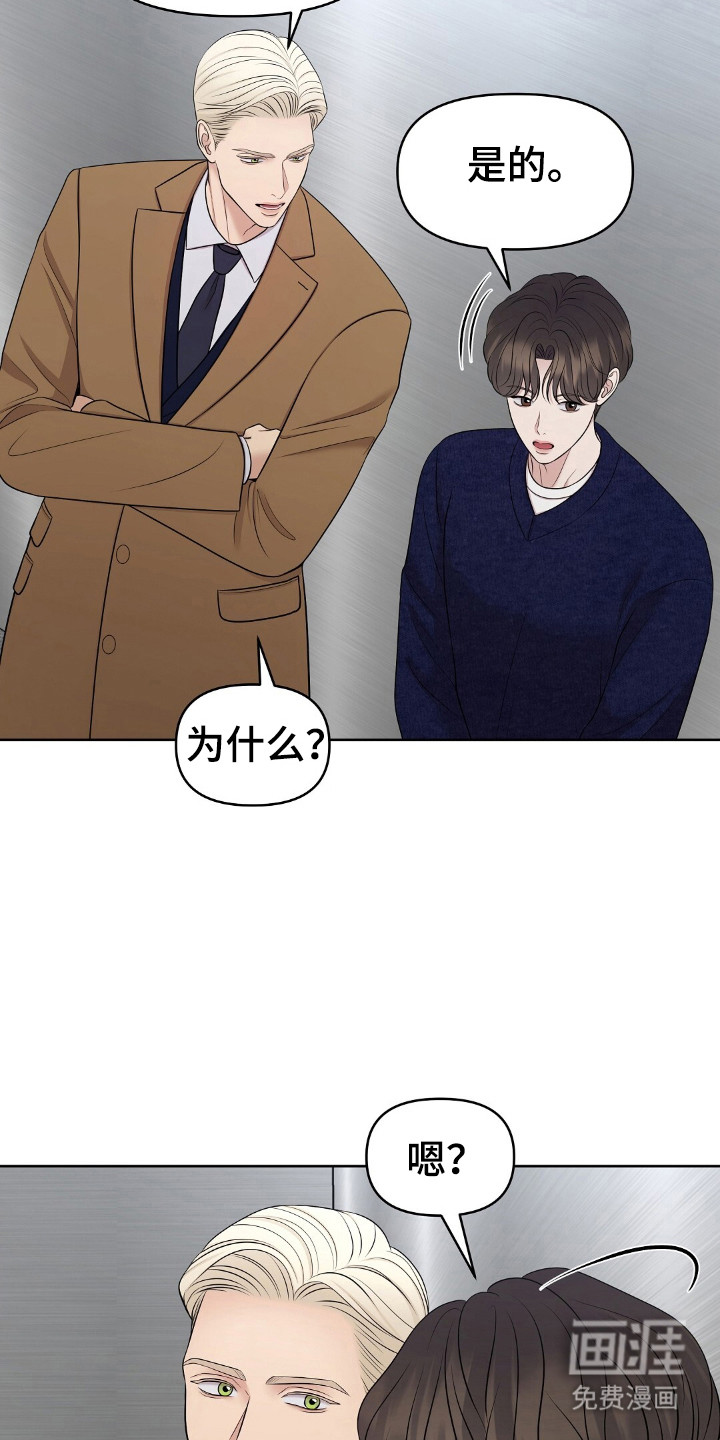 油画狂欢节第31话图