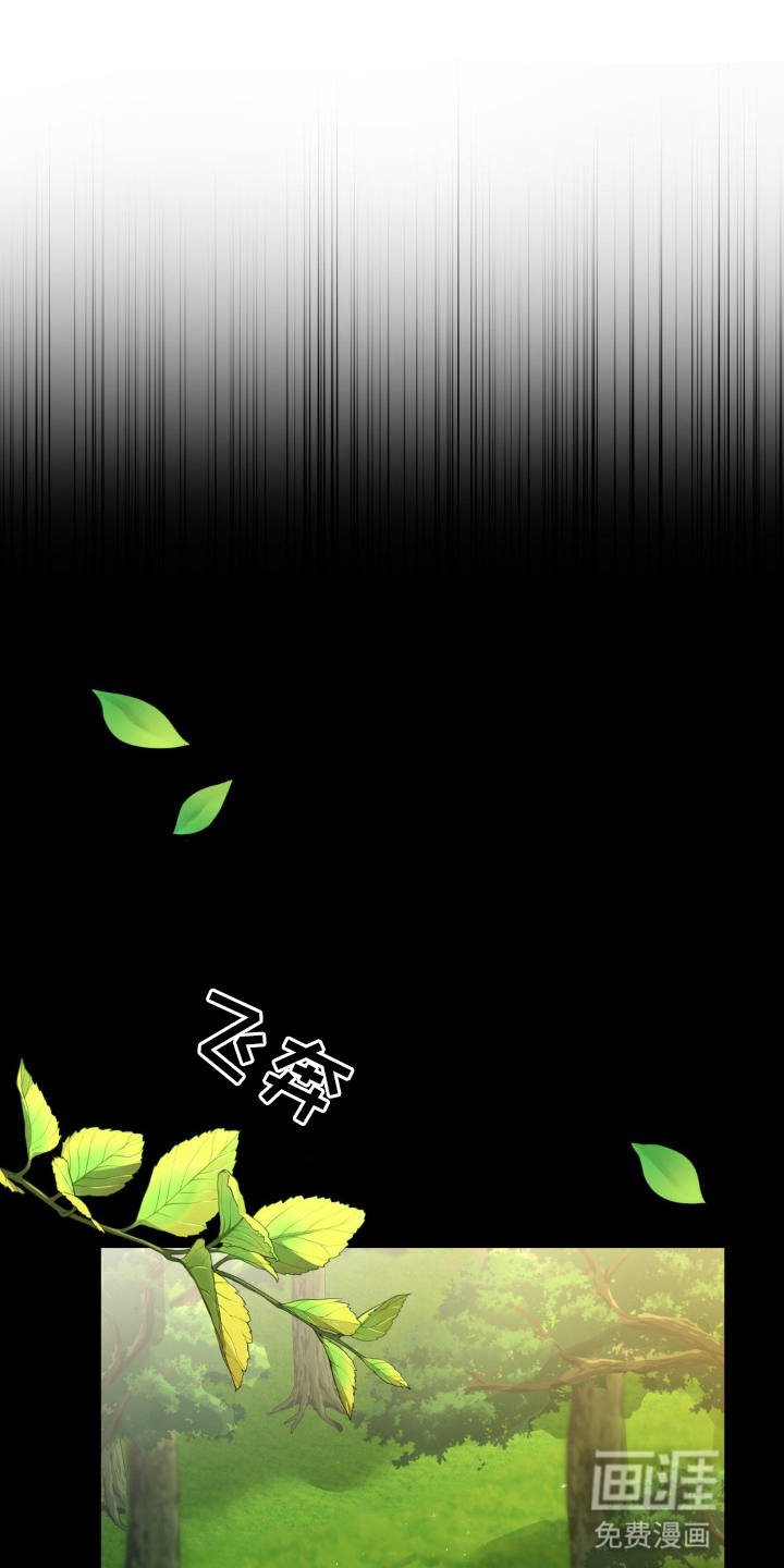 阴暗的幻觉第12话图