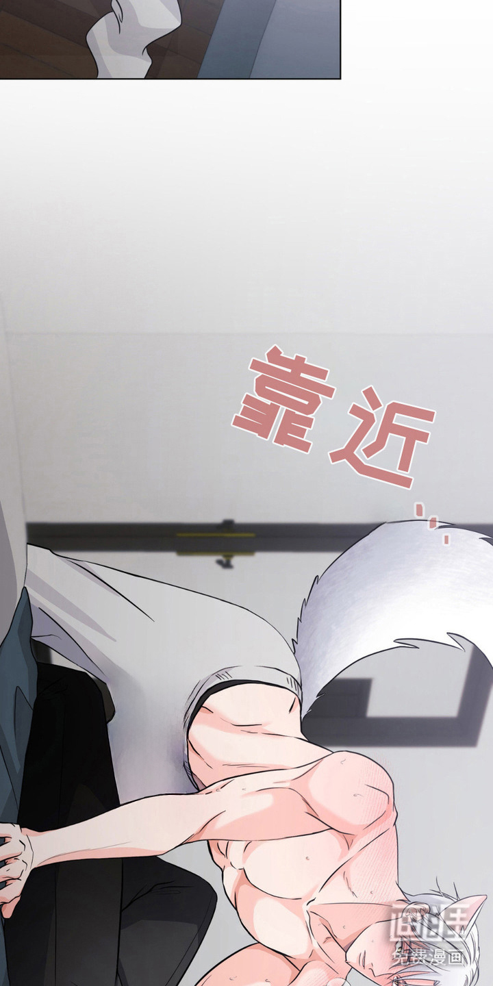 养狼为患 第11话 第13页