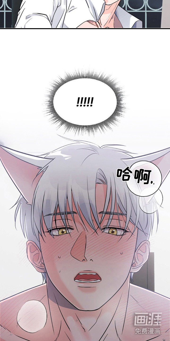 养狼为患 第12话 第13页