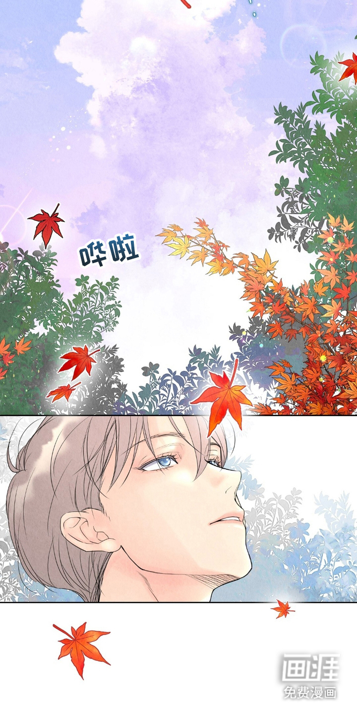 雨无痕第6话图