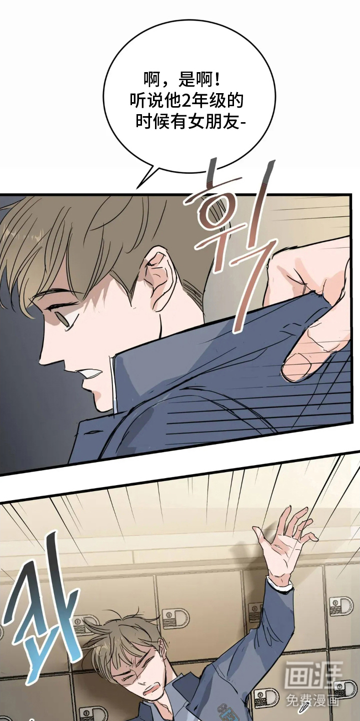 月亮和祖母绿第11话图