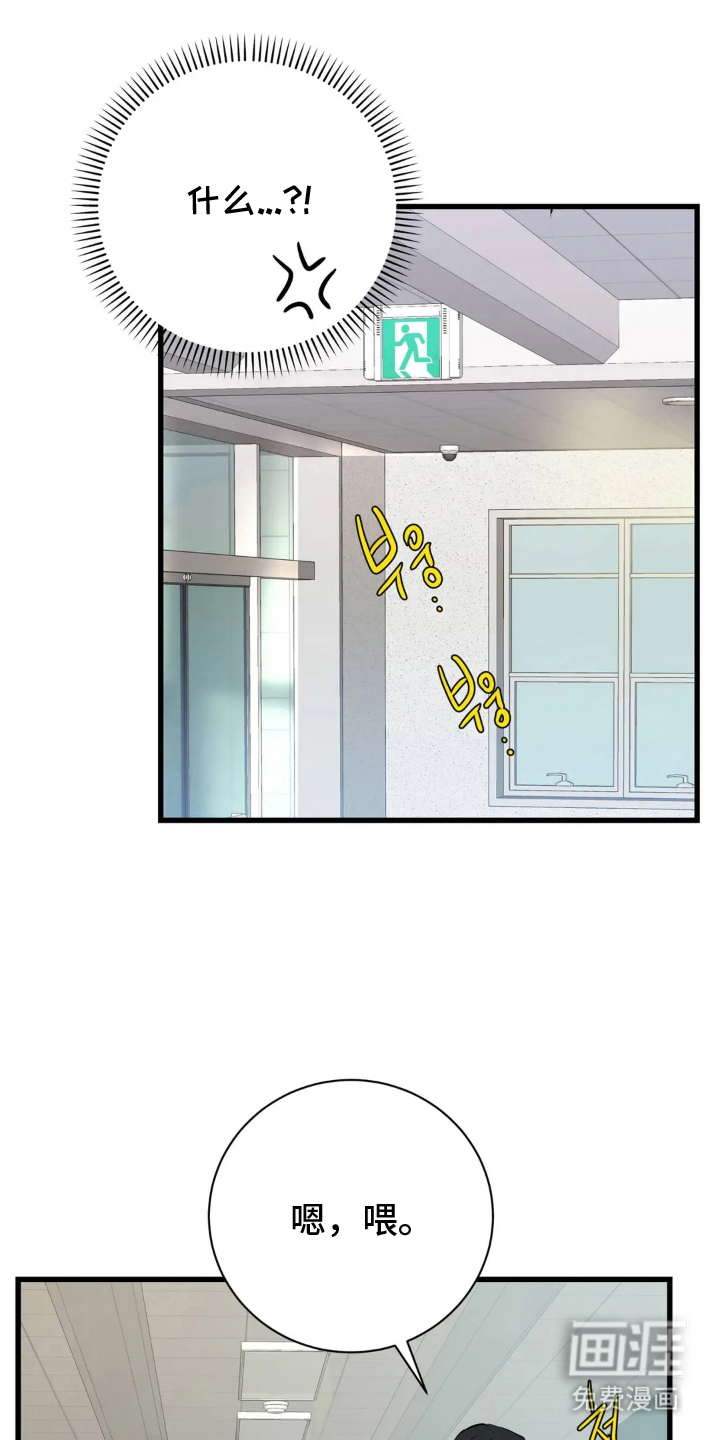 月亮和祖母绿第21话图