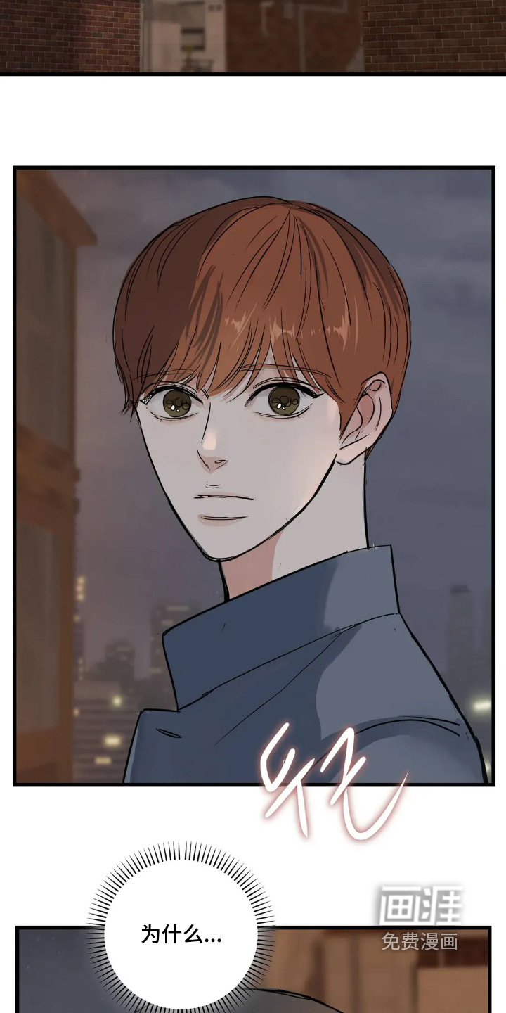 月亮和祖母绿第26话图