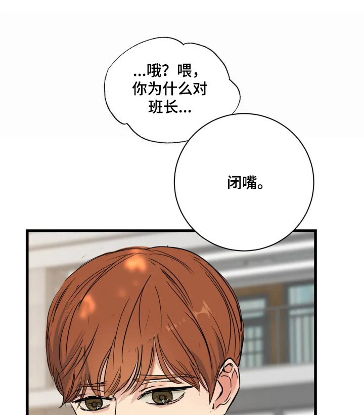 月亮和祖母绿第29话图