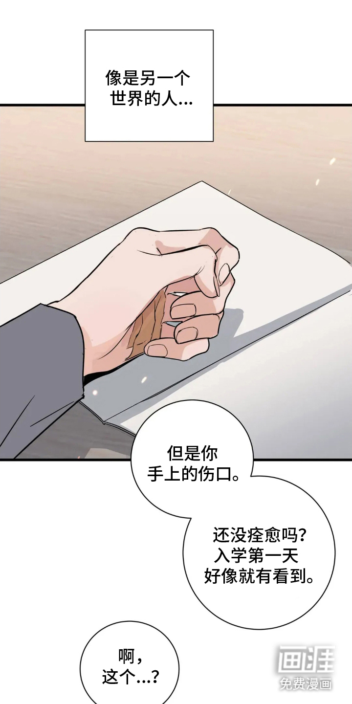 月亮和祖母绿第4话图