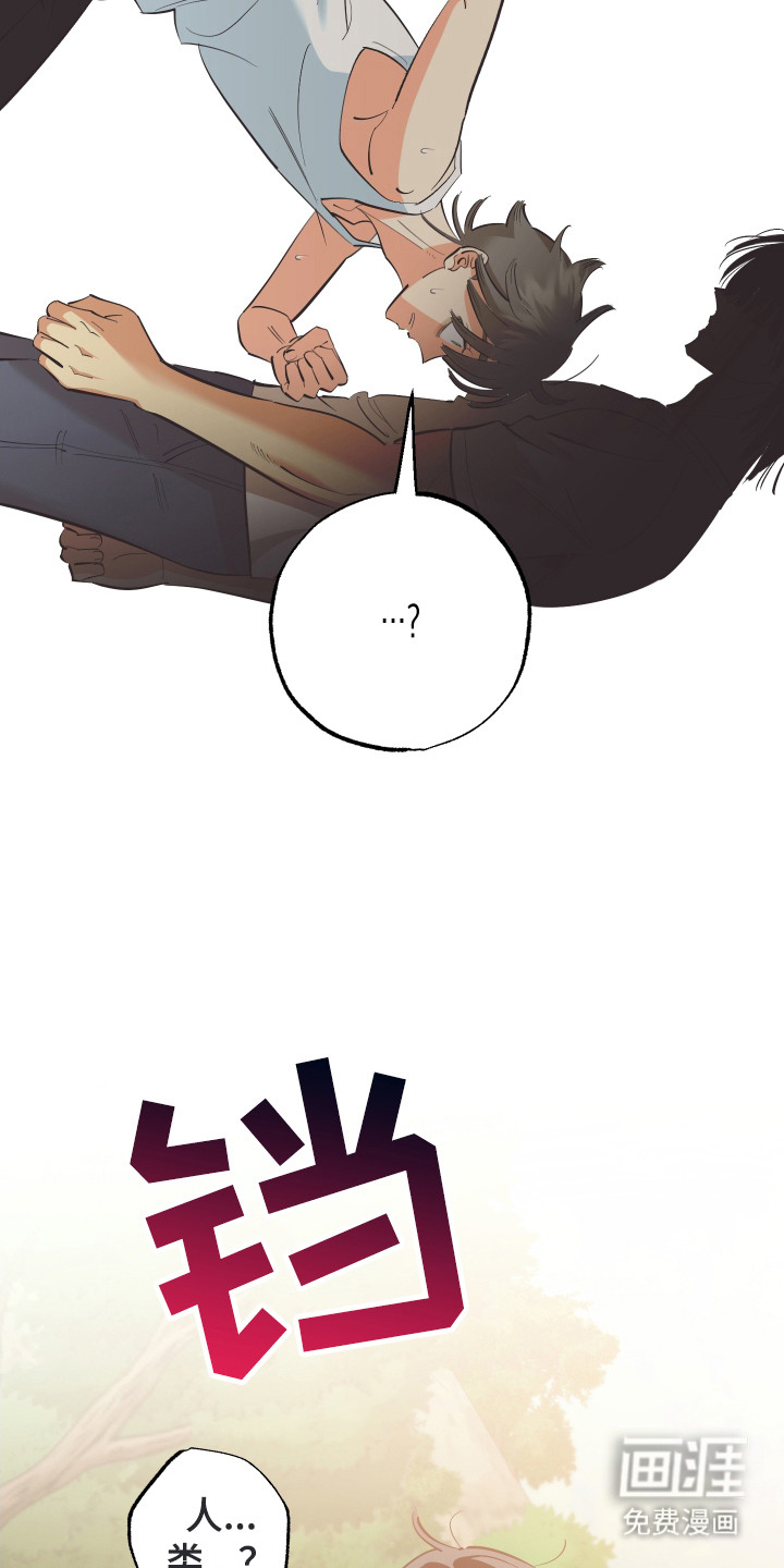 野人同居日志第13话图