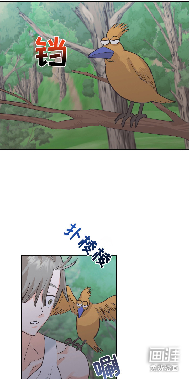 野人同居日志第20话图