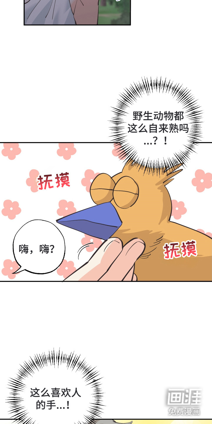 野人同居日志第20话图