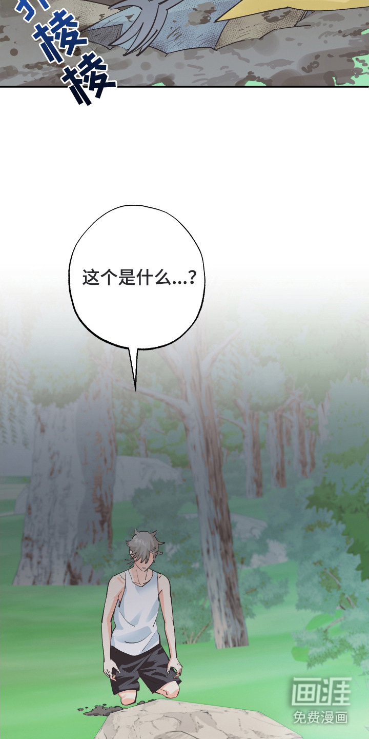 野人同居日志第20话图