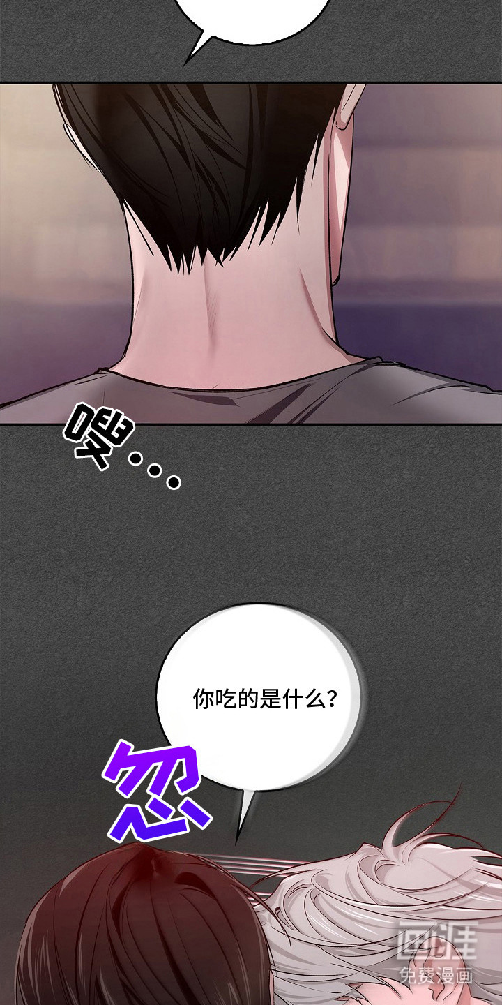 夜雾罪证第15话图