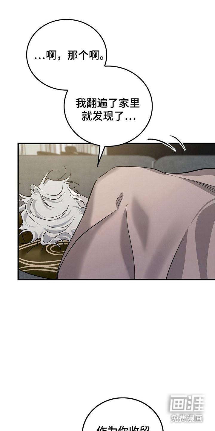 夜雾罪证第17话图