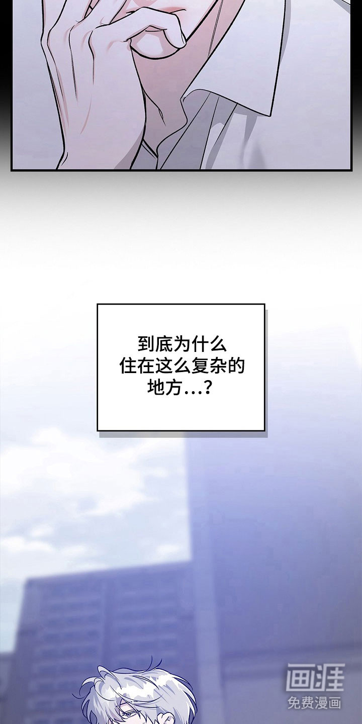 夜雾罪证第20话图