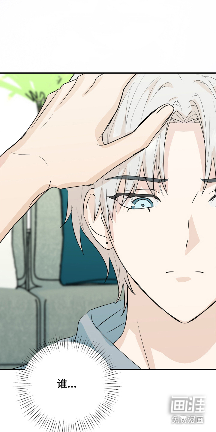 诱导沦陷计划第11话图