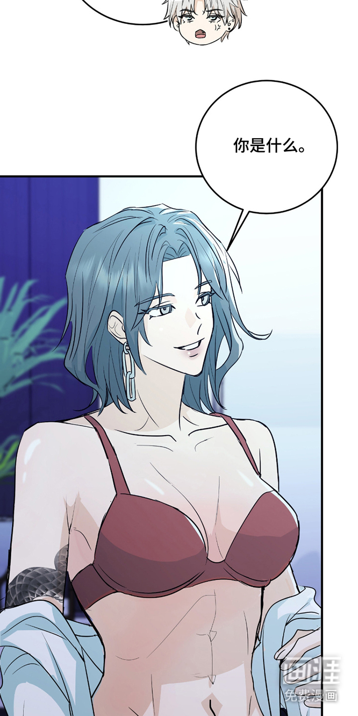 诱导沦陷计划第6话图