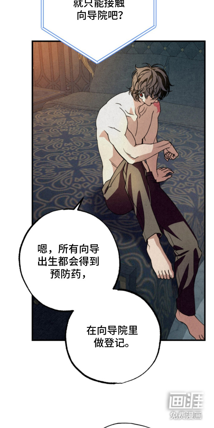 耀眼的呼吸漫画-图6
