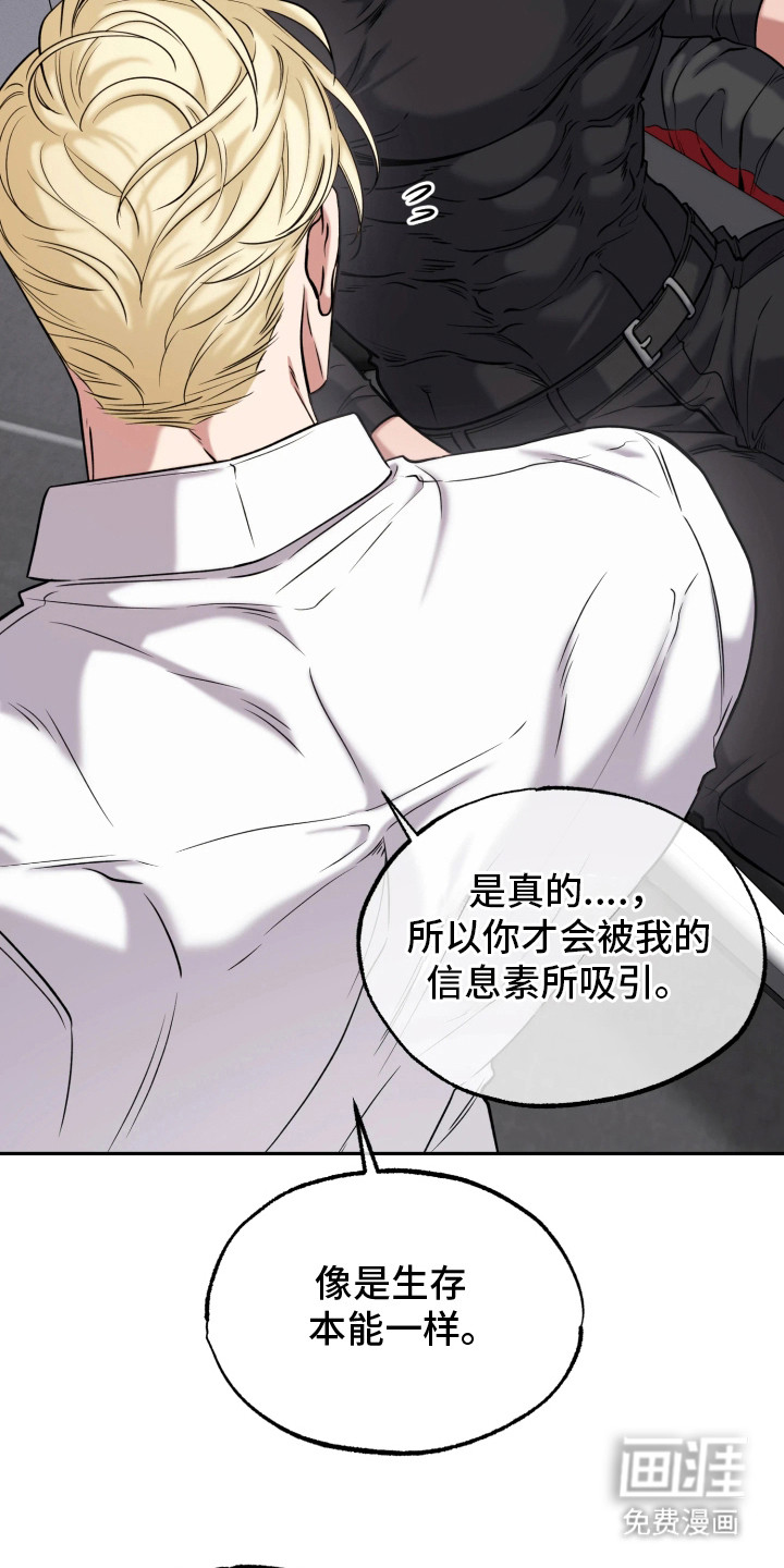 幽灯信标漫画-图12