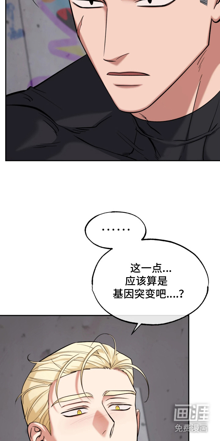 幽灯信标漫画-图14