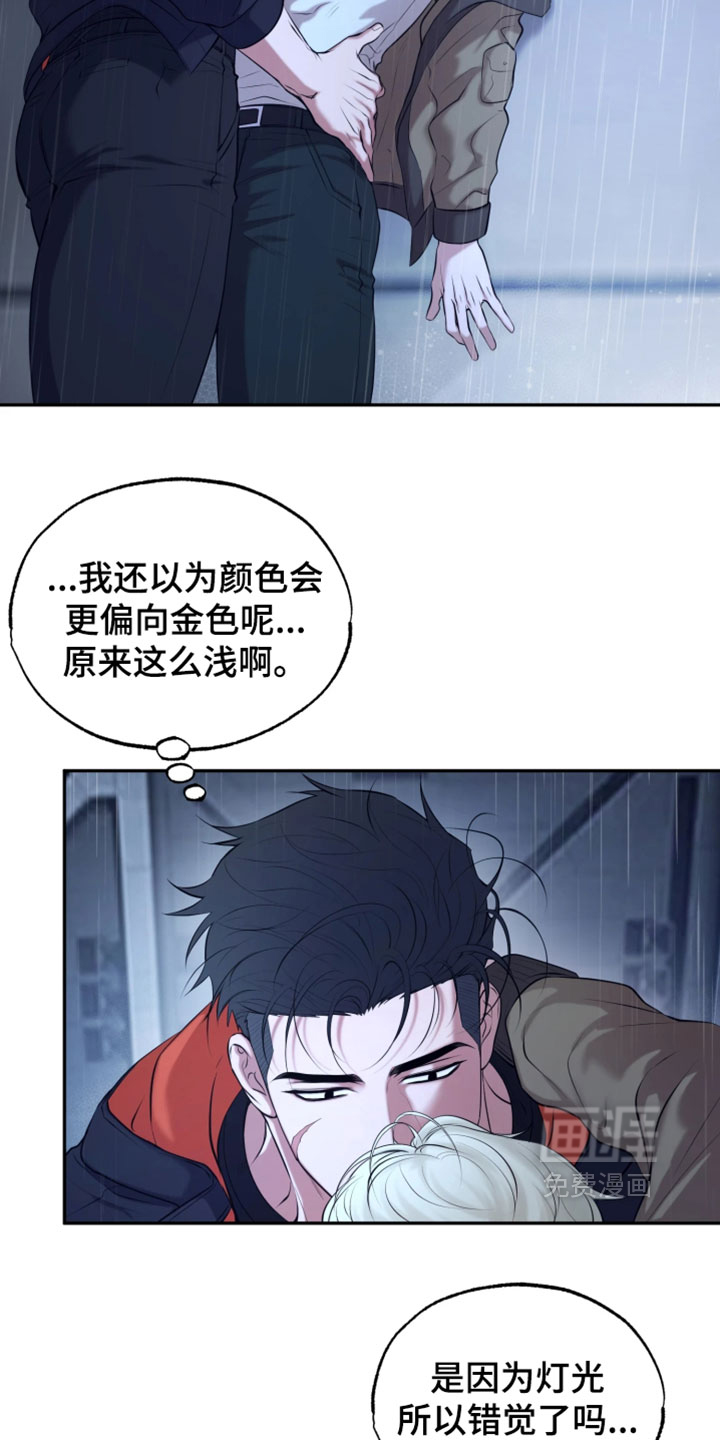 幽灯信标漫画-图1