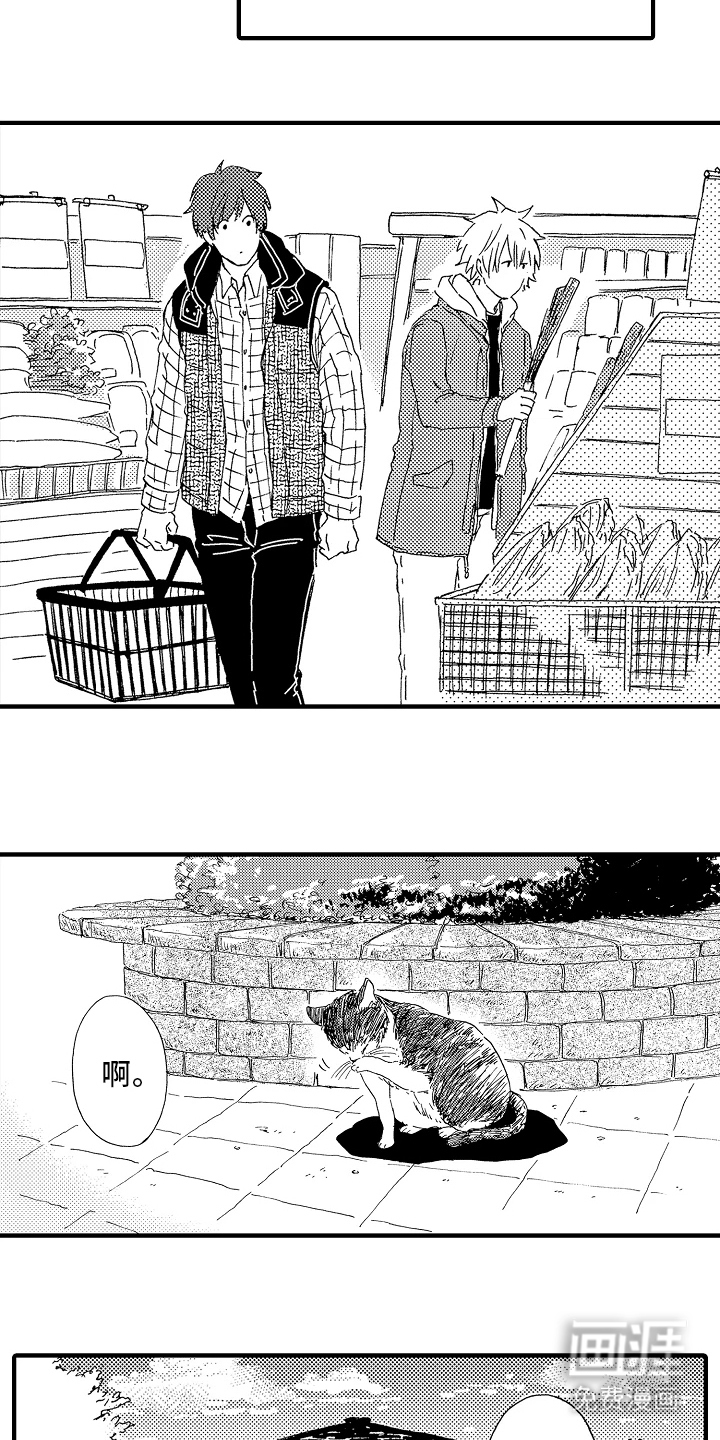 淤青色的灵感第5话图