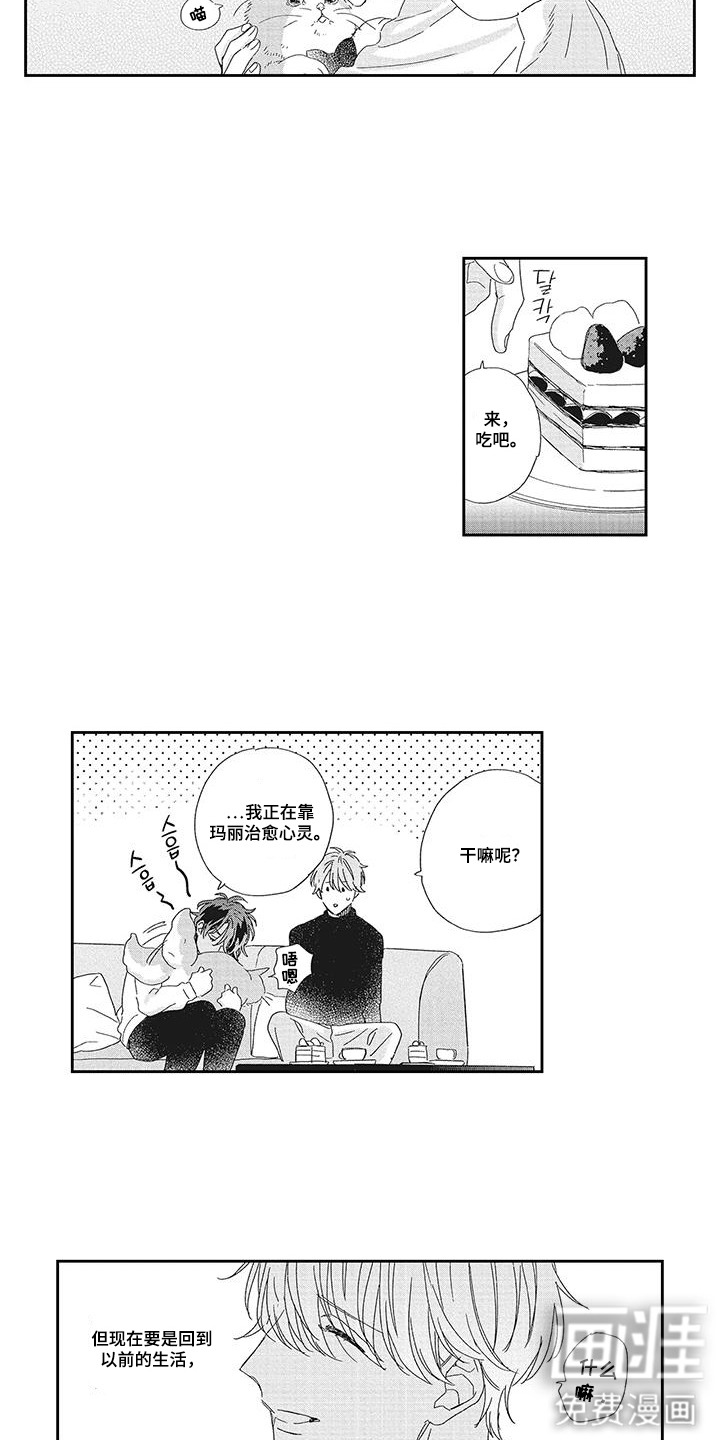 意外的甜蜜第12话图