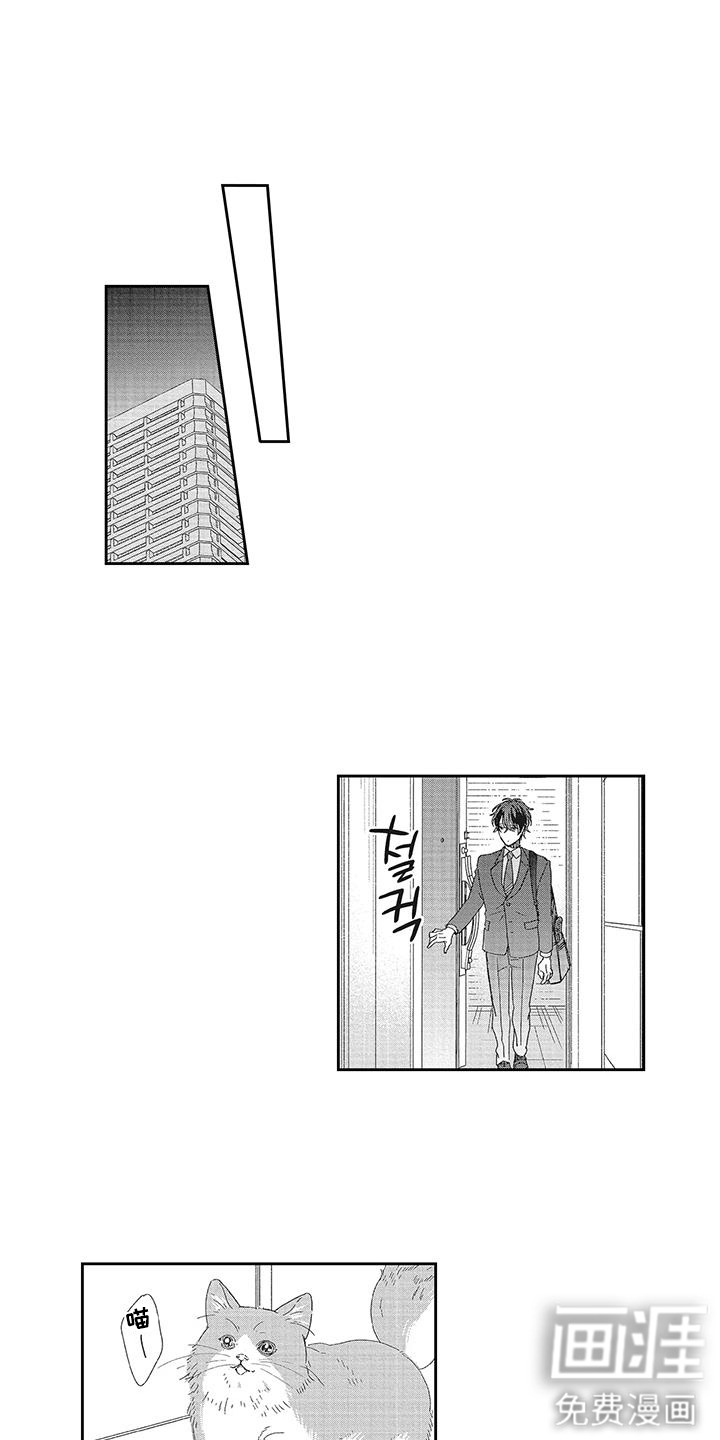 意外的甜蜜第5话图