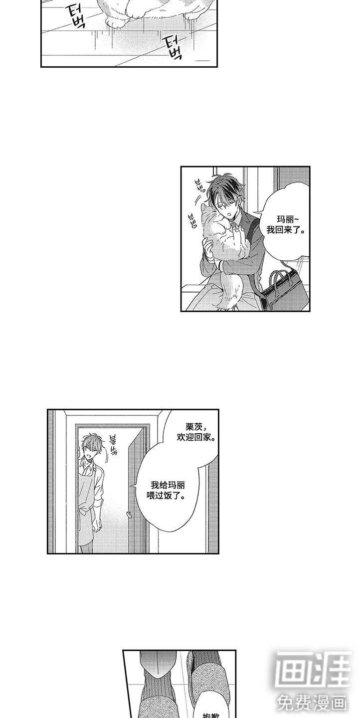 意外的甜蜜第5话图