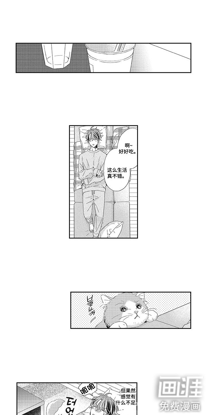 意外的甜蜜第8话图