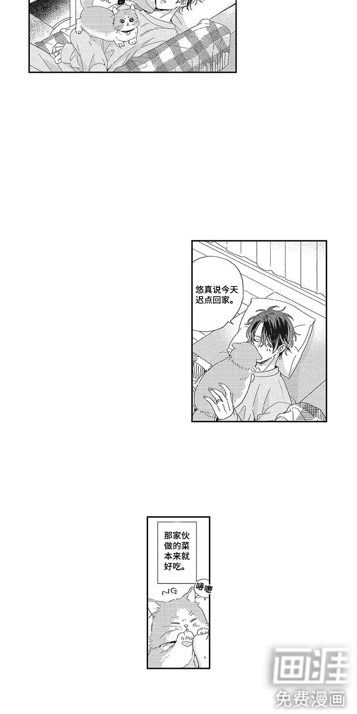 意外的甜蜜第8话图