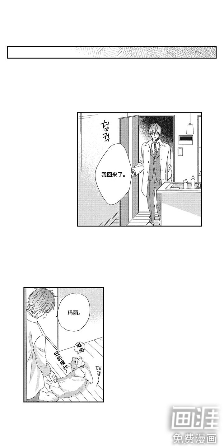 意外的甜蜜第9话图