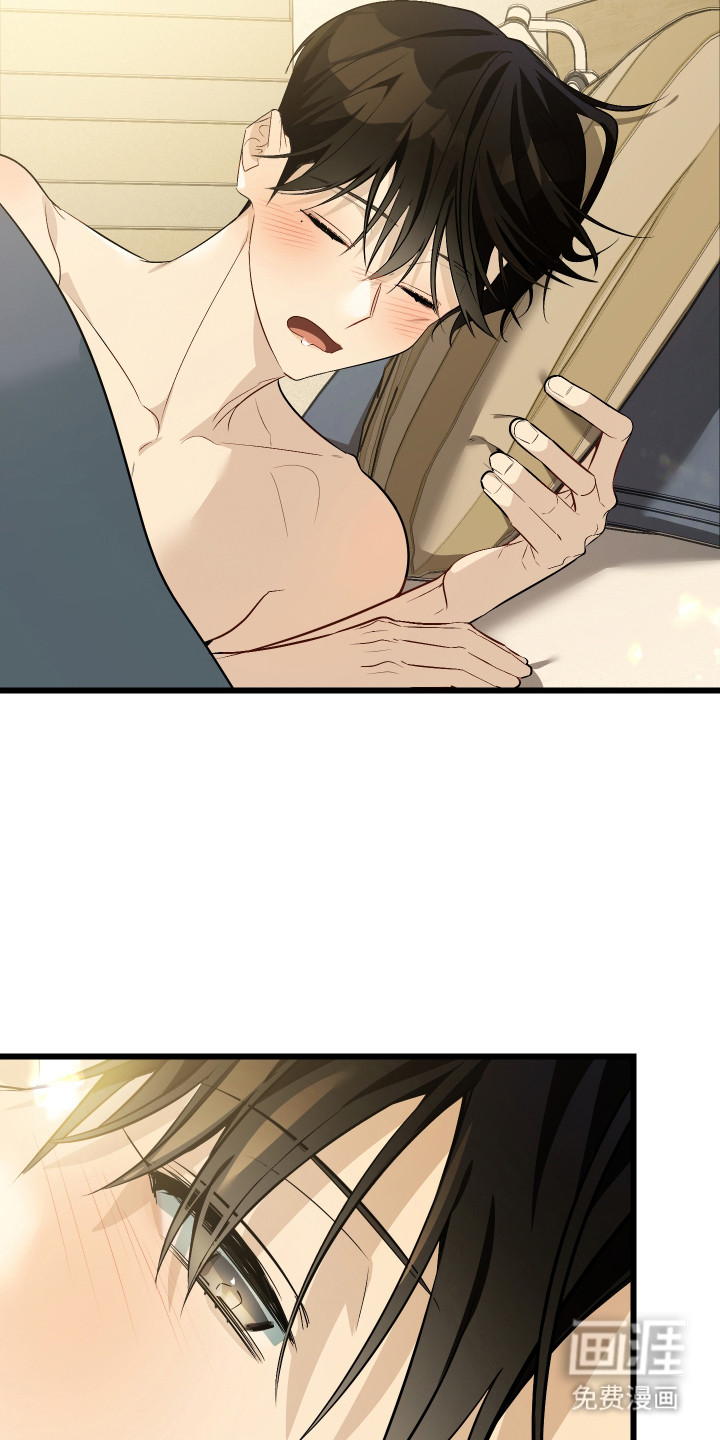 野猫的命定人类 第10话 第1页