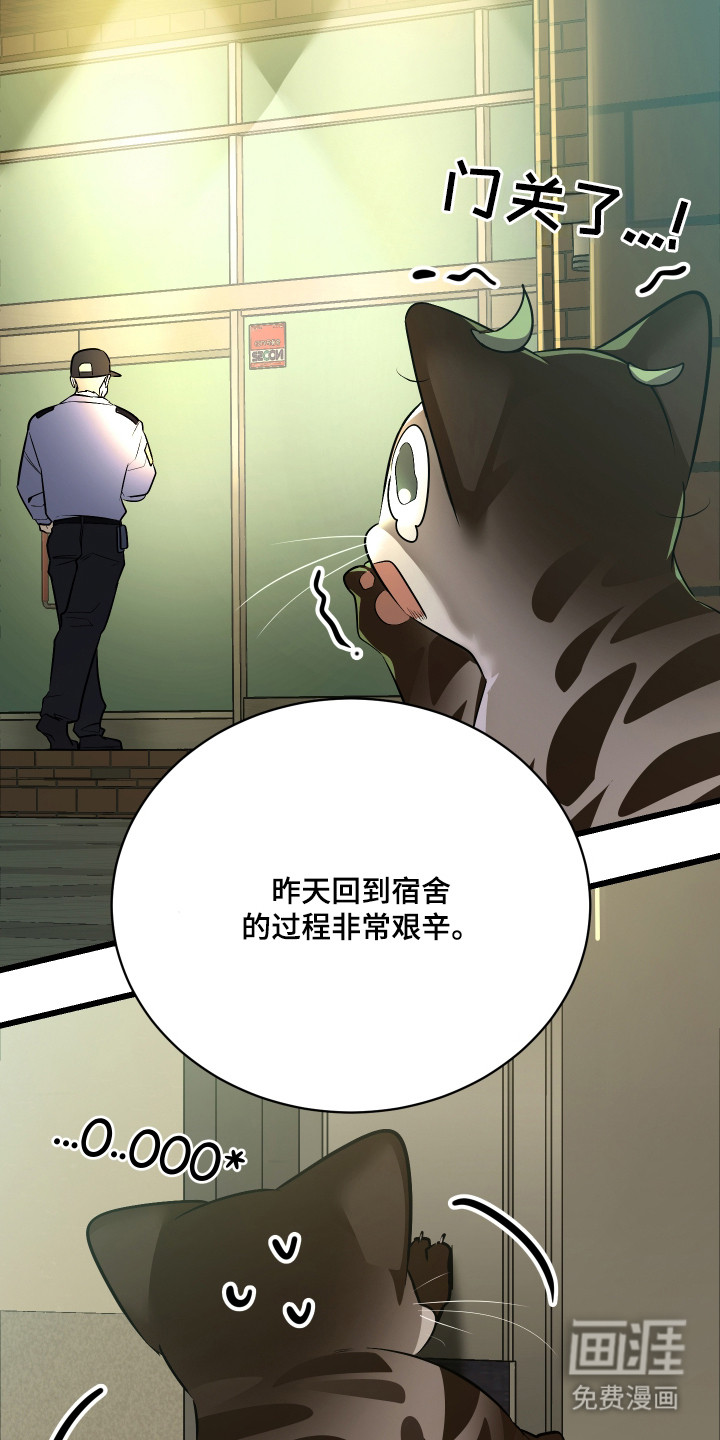 野猫的命定人类 第10话 第5页