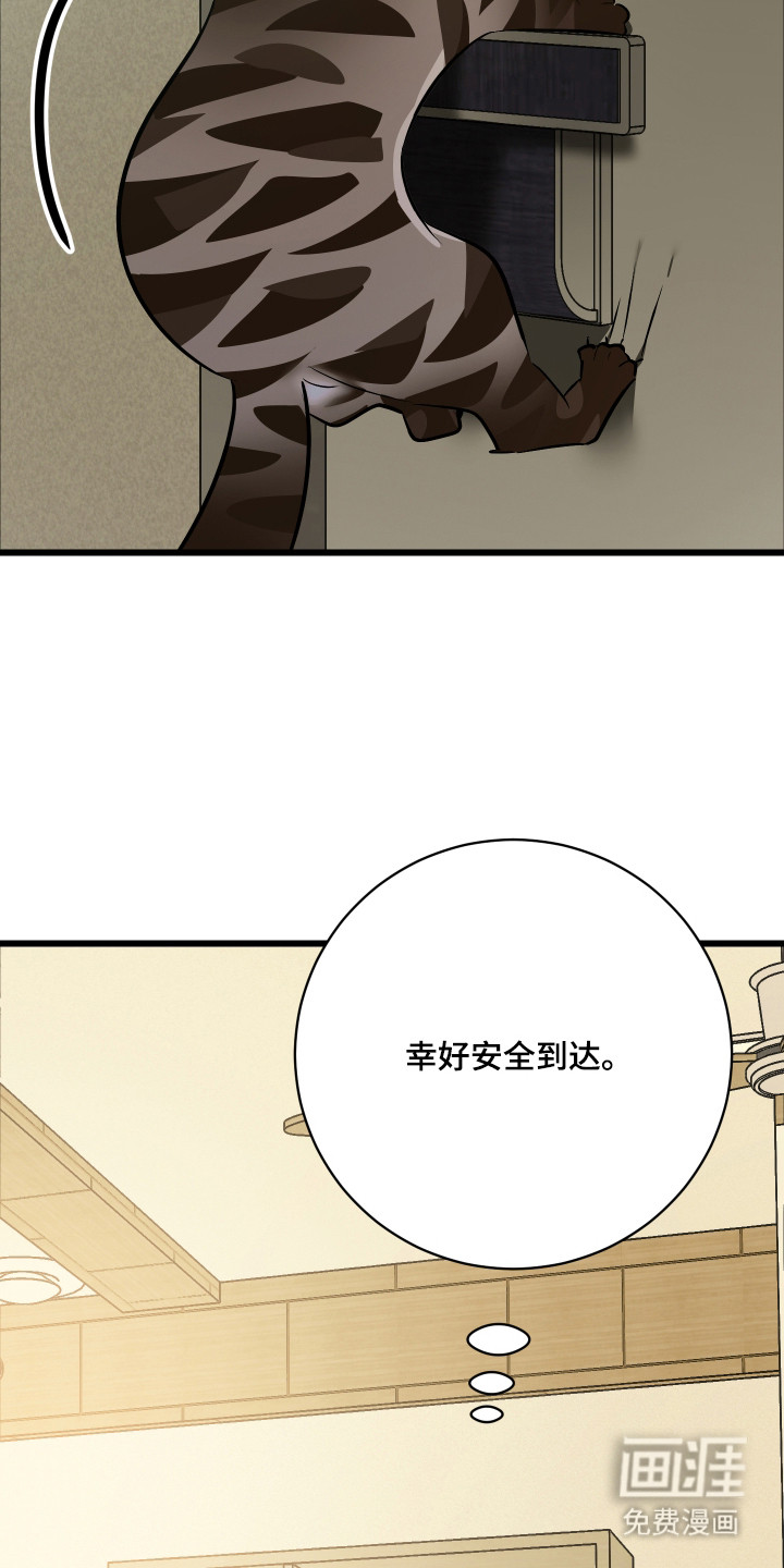 野猫的命定人类 第10话 第6页