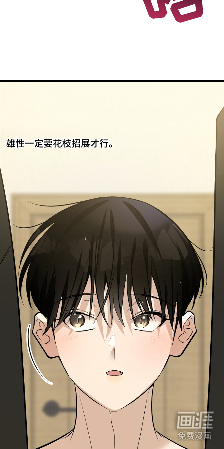 野猫的命定人类 第10话 第16页