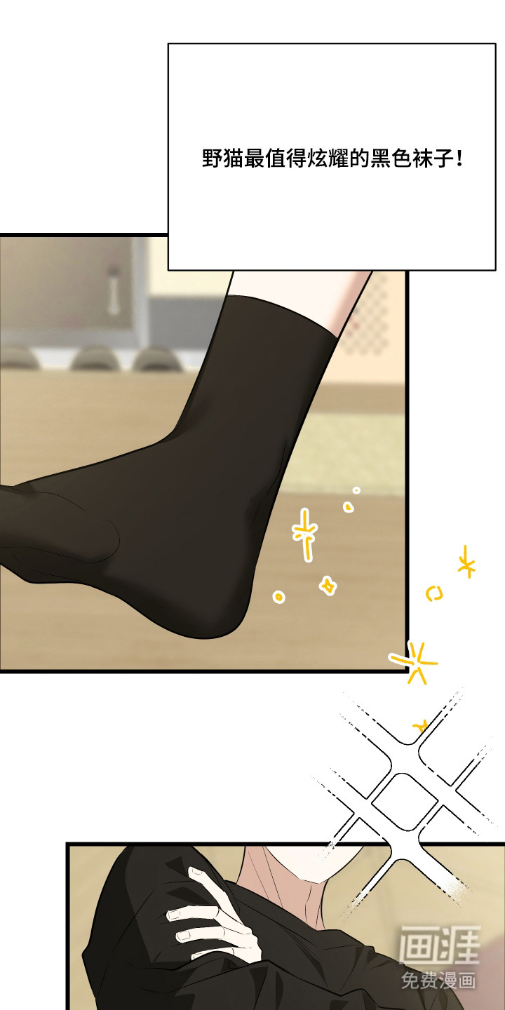 野猫的命定人类 第10话 第21页