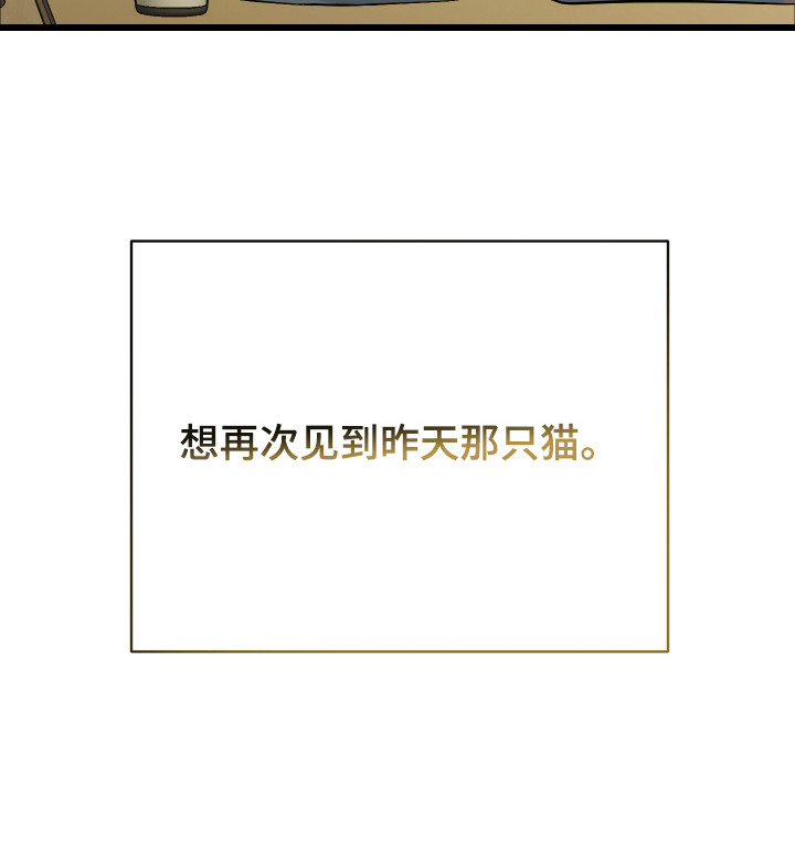 野猫的命定人类 第11话 第30页