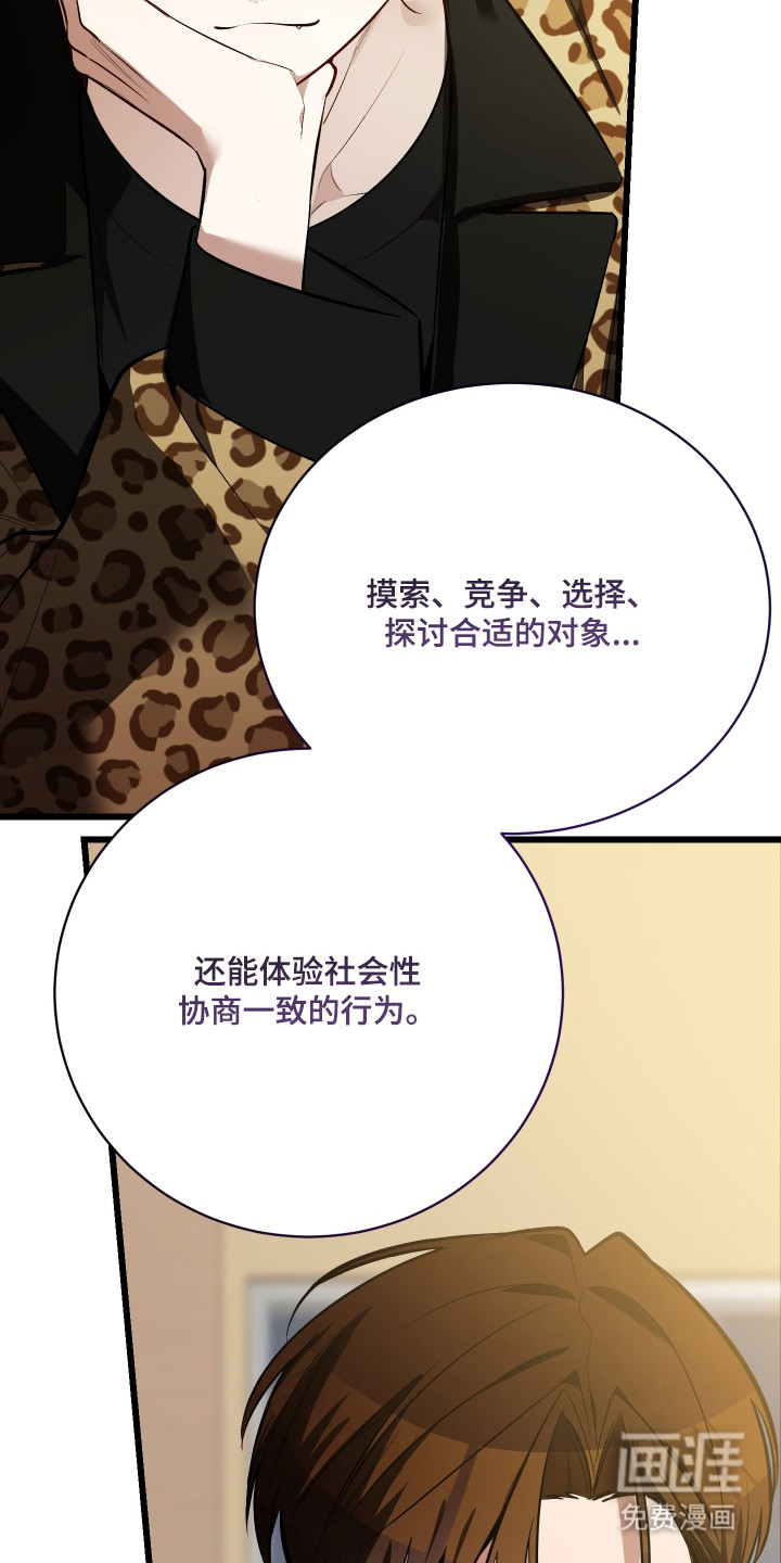 野猫的命定人类 第12话 第7页