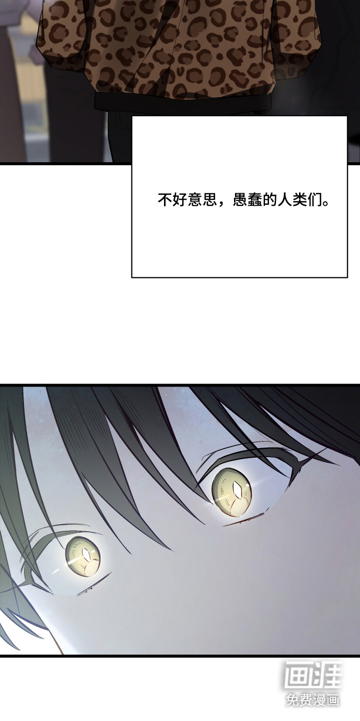 野猫的命定人类 第13话 第1页