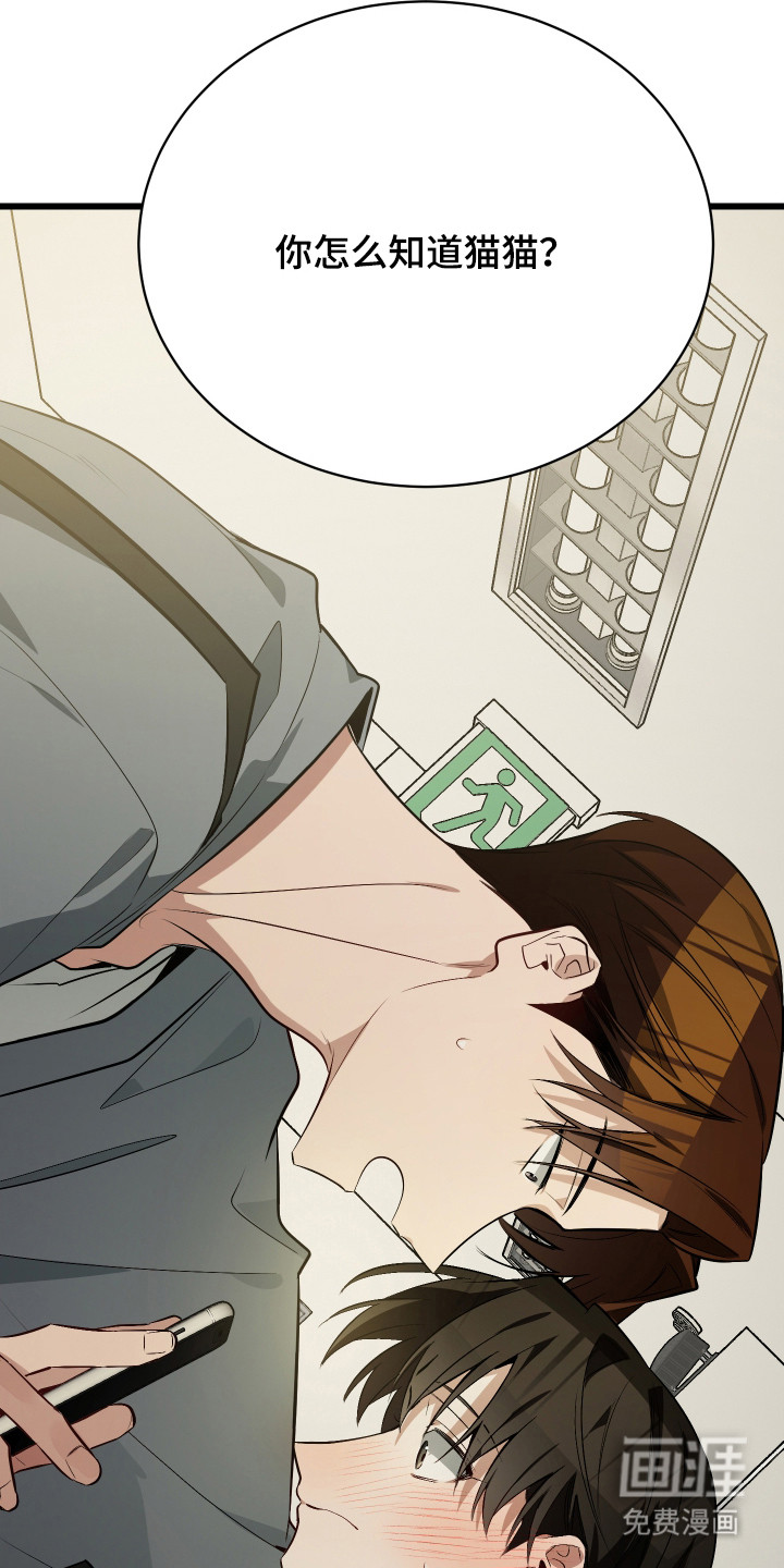 野猫的命定人类 第14话 第26页