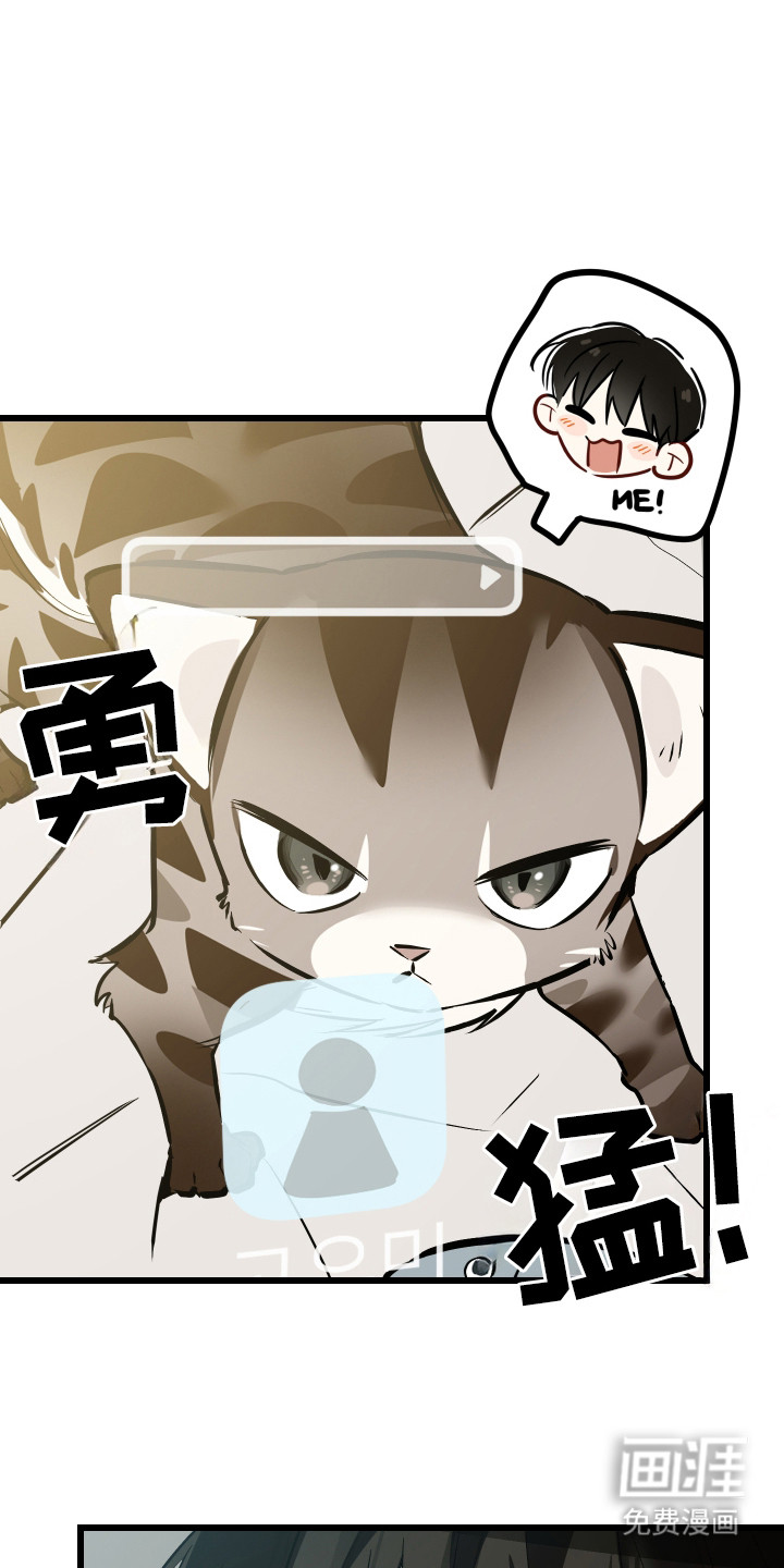 野猫的命定人类 第15话 第0页