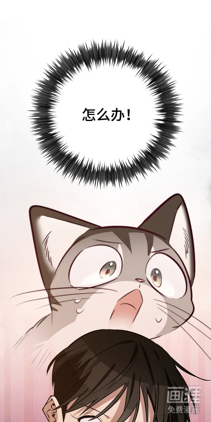 野猫的命定人类 第15话 第8页